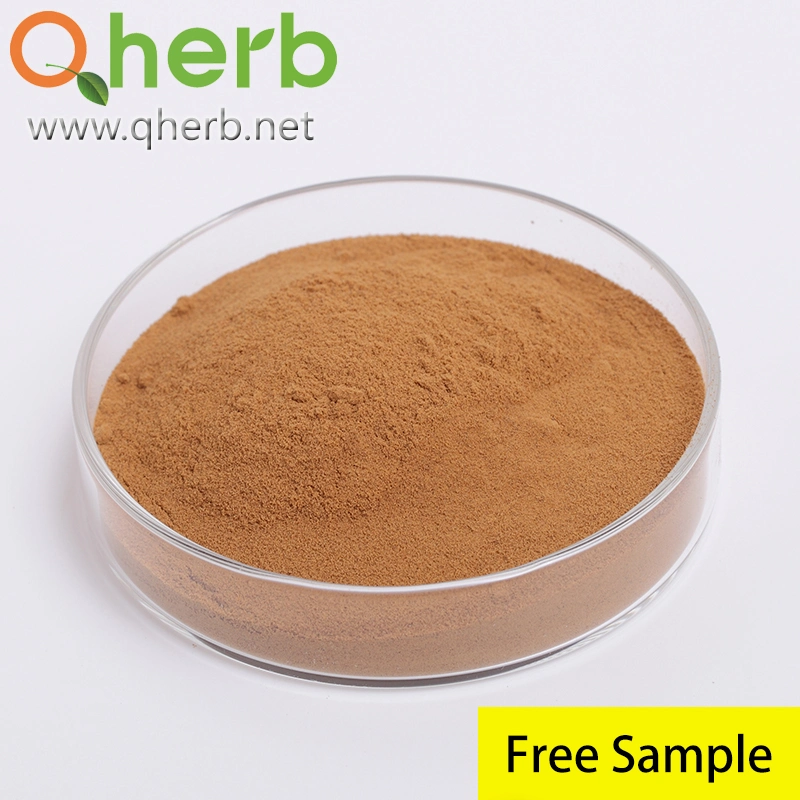 100% Natural Organic Chinese Medical Herb Chlorogenic Acid Honeysuckle Flower Lonicera Japonica Extract Free Sample