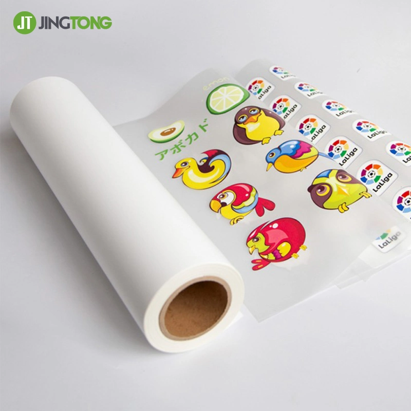 Double Sided Heat Transfer Pet Film Matte Direct to Film Sheets A3 A4 Size for Dtf and Fabric Printing