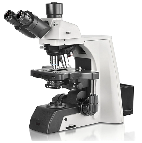 BestScope BS-2081 Super Wide Field Plan ocular SW10X/25mm Investigación trinocular Microscopio biológico