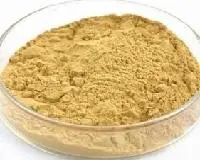 Natural Gingerol Ginger Root Extract Powder 20: 1 Ginger Extract