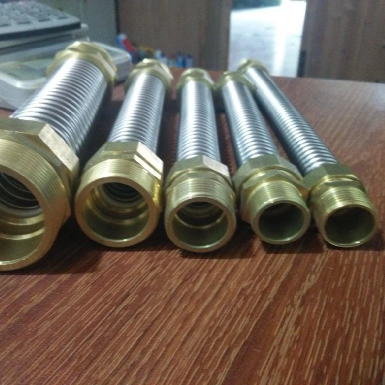 Heat Resistant Flexible Metal Hose Stainless Steel Braided PTFE Corrugated Tube