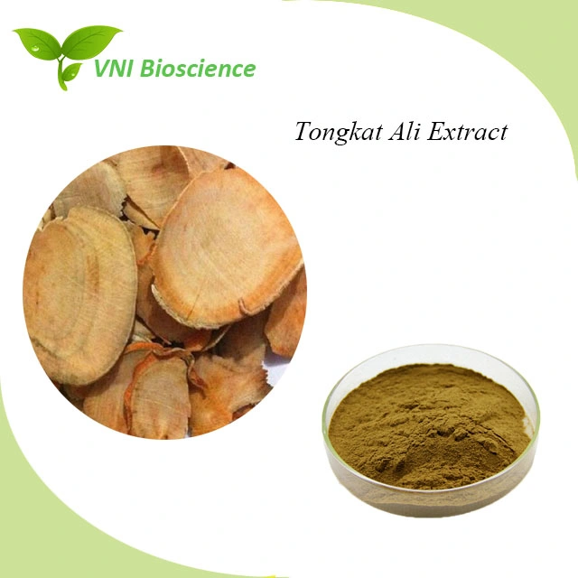 Extrait de Tongkat Ali d'Eurycomanone 100% naturel certifié ISO