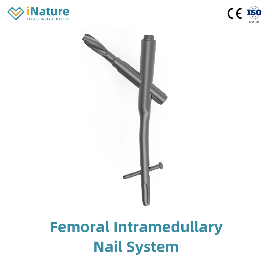 Orthopedic Implant Trauma Pure Titanium Surgical Bone Adult Medical Supply Product ISO CE Without Ethylene Oxide Sterilization Interlocking Intramedullary Nail