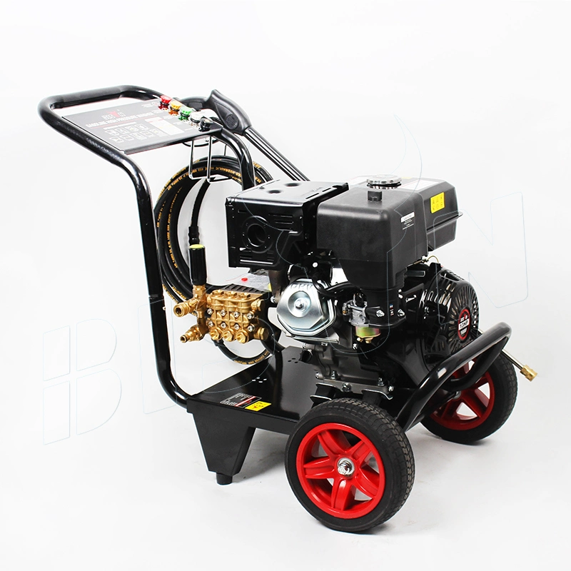 Bison 13 Horse Power Car Washer Cleaning Machine Industrial 13HP 3600psi Gasoline High Pressure Washer 250bar