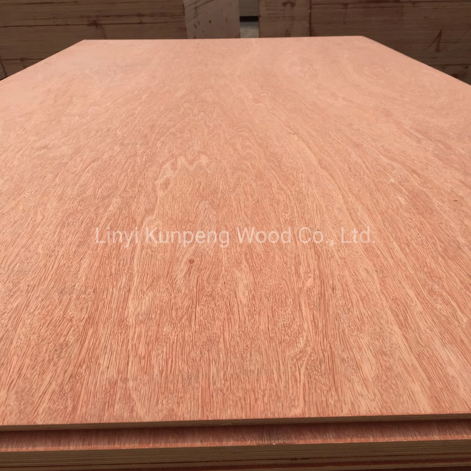 High Quality Commercial Plywood Bintangor/Okoume/Birch/Pine Faced Plywood