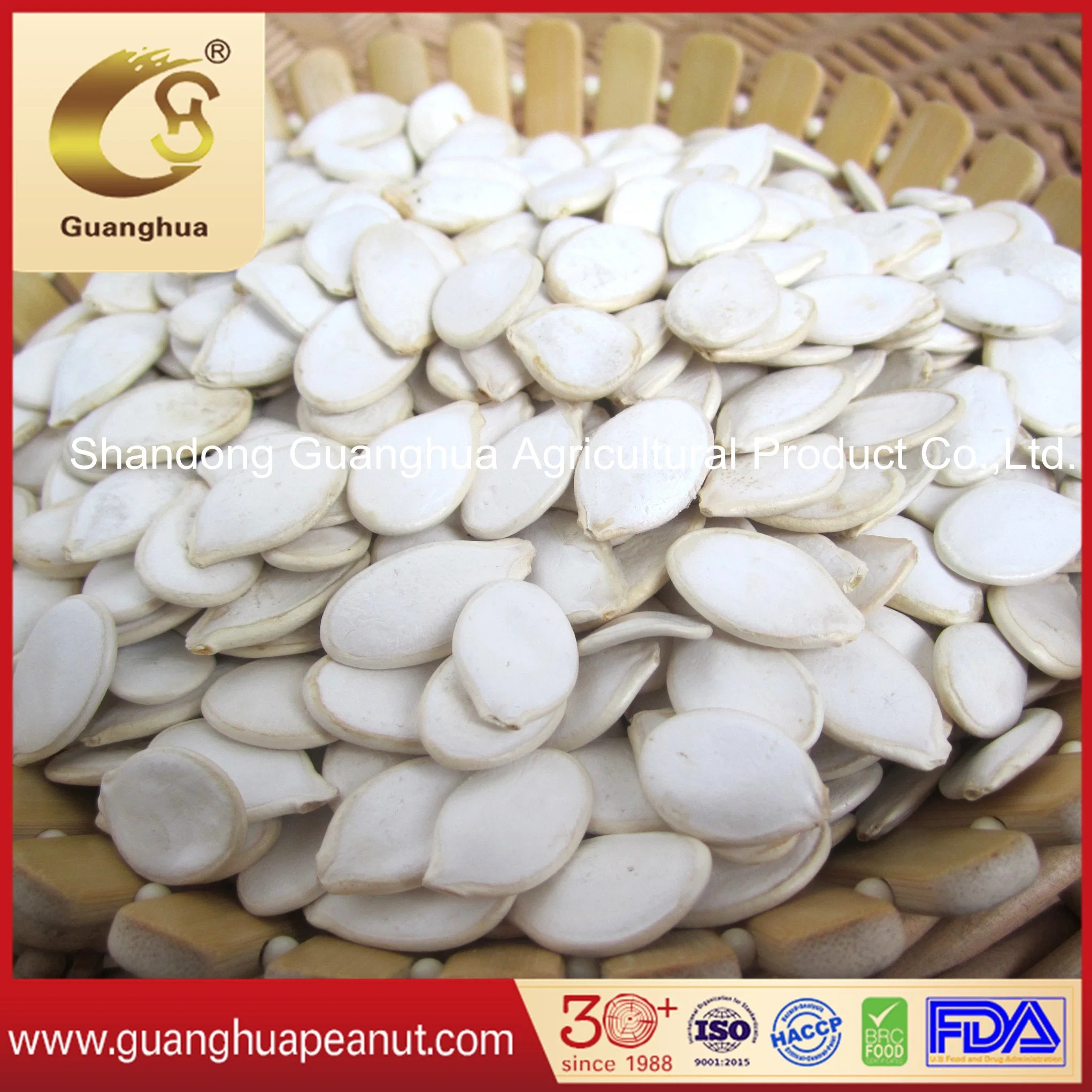 Export Standard Shine Skin Pumpkin Seeds Crop 2022