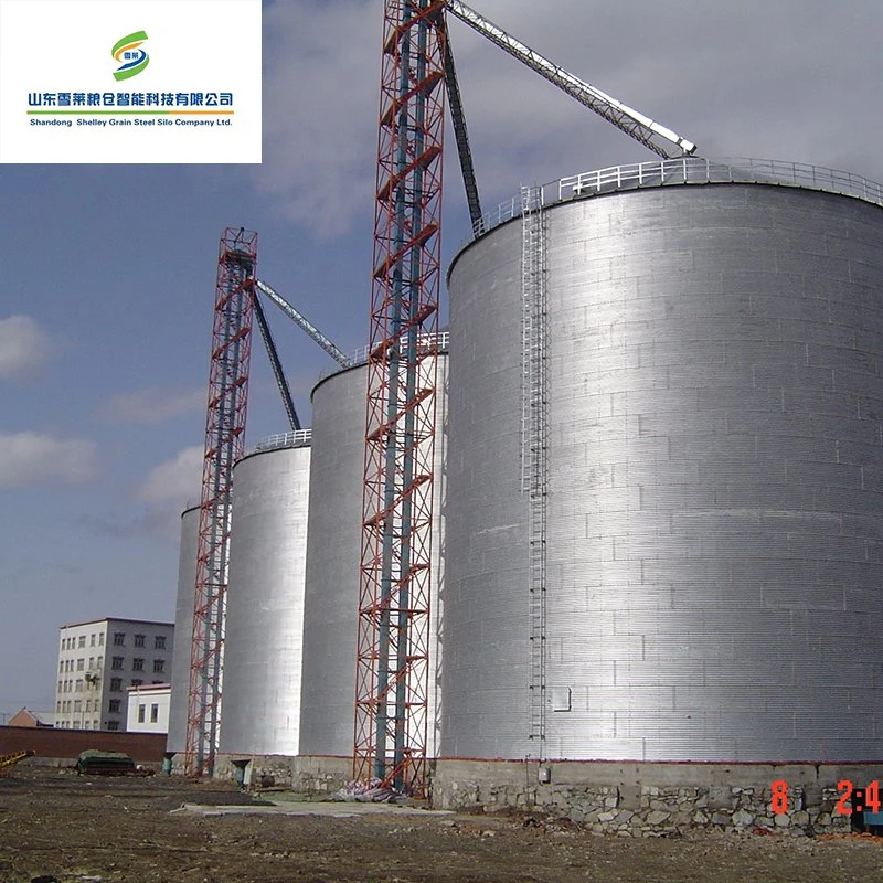 2000-10000 toneladas de grano de fondo plano de acero de las semillas de maíz Precio silo