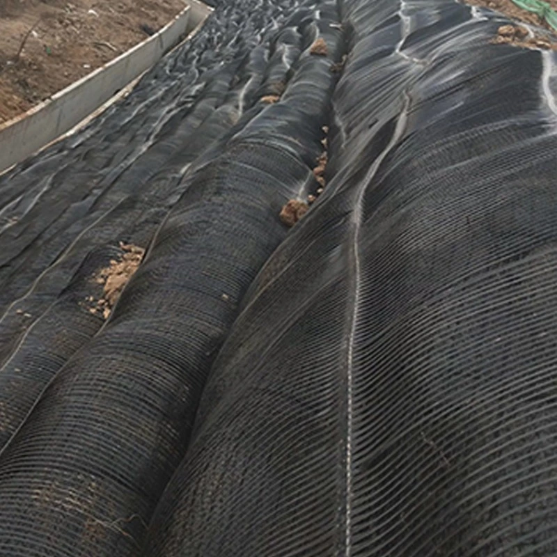 Factory Price 110kn Plastic PP HDPE Uniaxial Geogrid