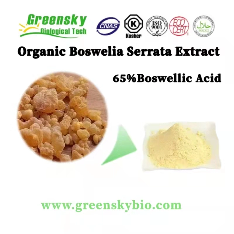 Extrait de Boswellia Serrata 65% d'acide boswellique Antioxydant anti-âge Extrait de plante chimique pharmaceutique Extrait de plante de haute qualité 100% naturel.