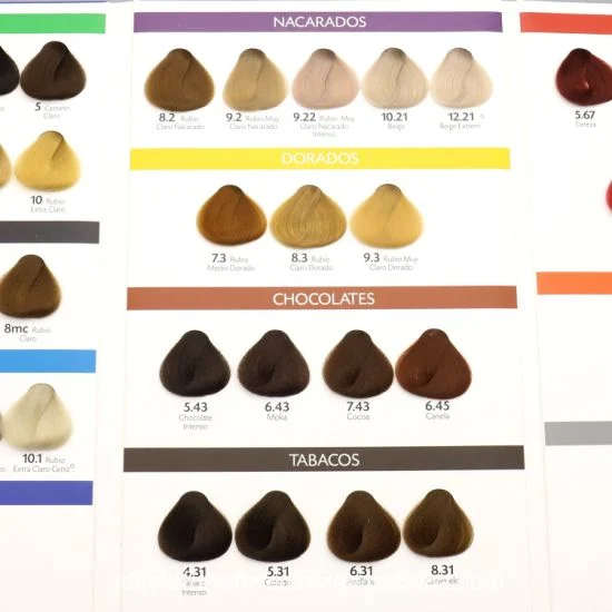 Arganmidas Professional Permanent Hair Color Chart for Wholesale/Supplier