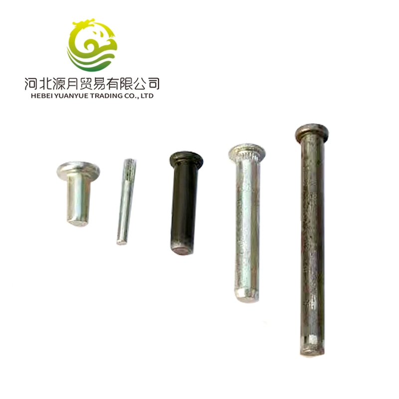 China Cold Forming Fastener Non-Standard Auto Parts Forged Car Parts