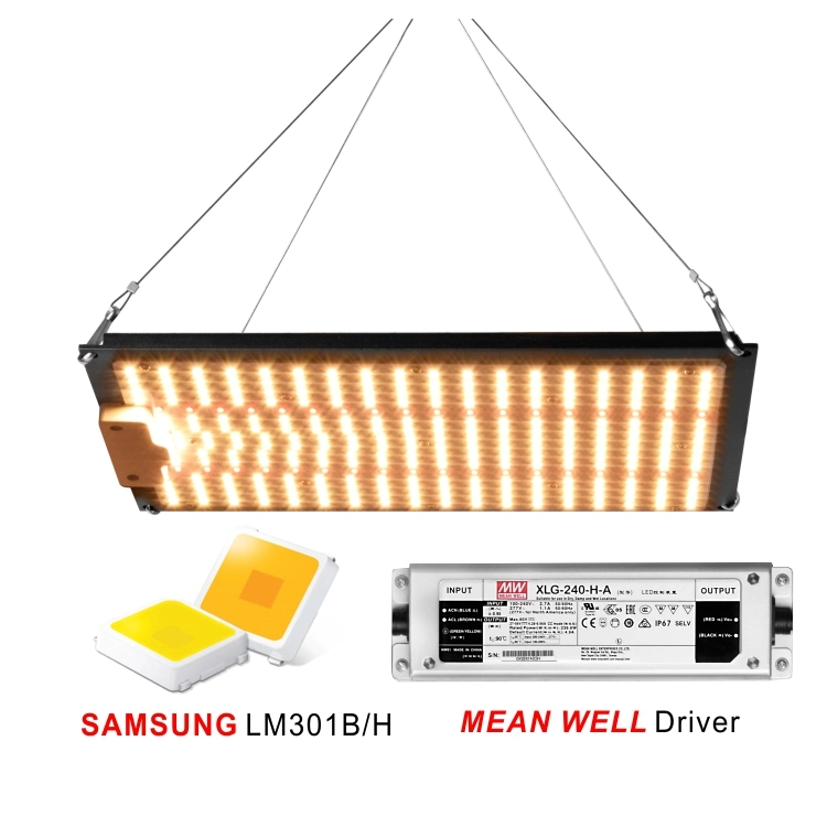 Qb288 100W Commercial Full Spectrum Quantum Growing Used Indoor Plant 100W 110W 120W LED Grow Light Hydroponic Horticultural LED Horticulture Grow Lighting