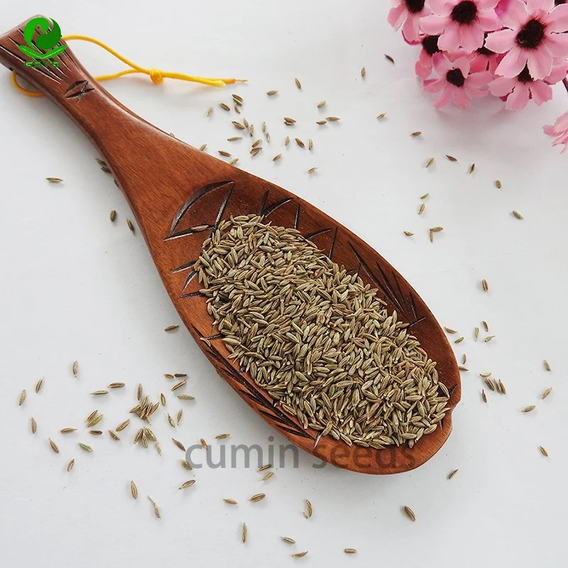 High quality/High cost performance  Nature Cumin Seeds Wholesale/Supplier