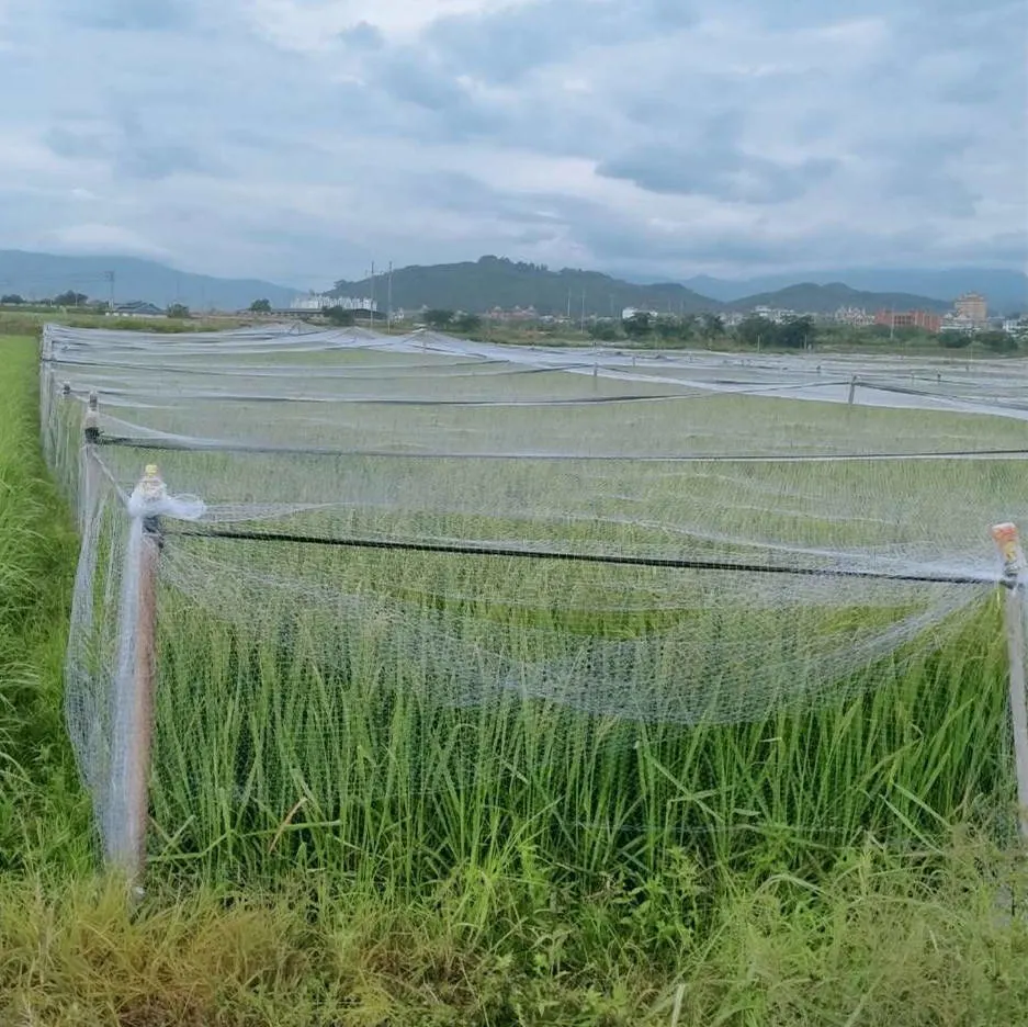 Anti pesadas redes Bird &amp; Bird malla para jardín cercado y vallado de protección de cultivos