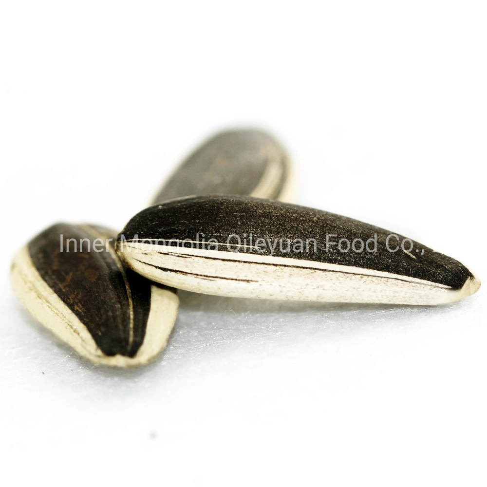 Raw Natural Chinese Wholesale/Supplier Sunflower Black Seeds Sunflower Seeds Wholesale/Supplier