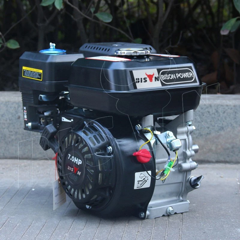 China Bison 7.0HP Air Cooled 4-Stroke Motor Engine for Gasoline Generator