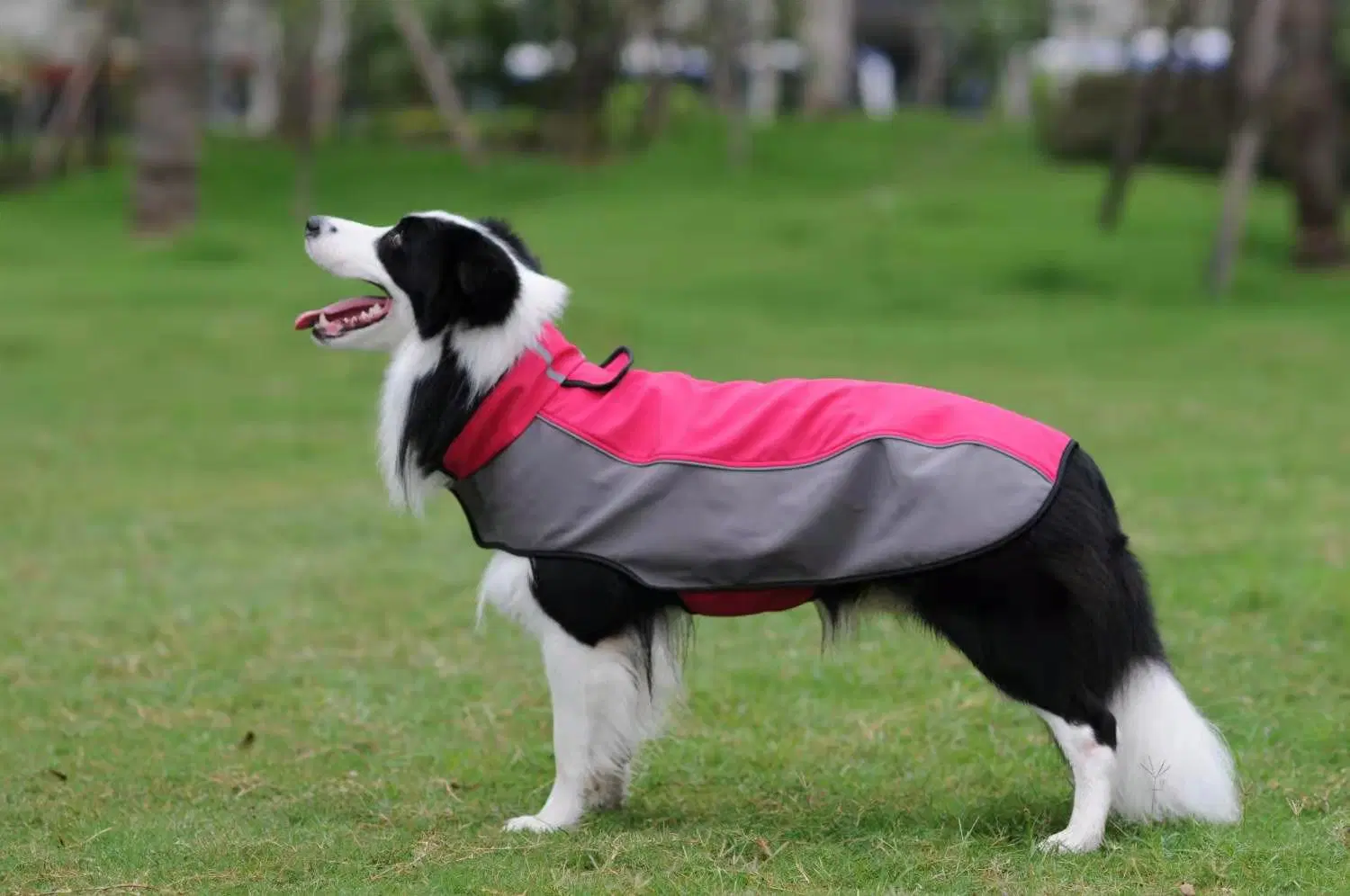 Coût de fabrication de vêtements personnalisés animal de compagnie portant des vêtements veste Softshell chien