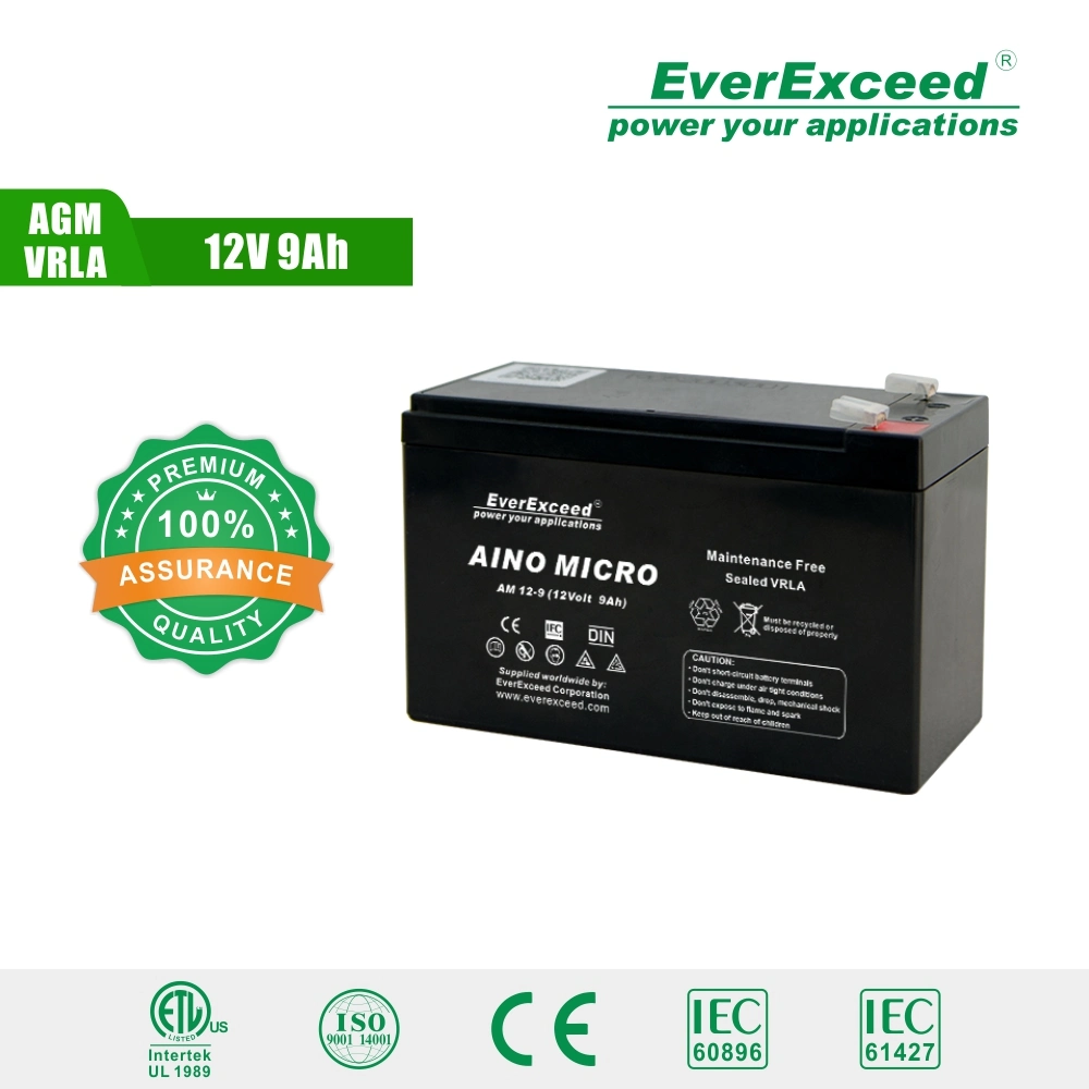 Everexceed Aino Micro Range UPS/ Emergency Light/ Telecom 12V 9ah AGM Rechargeable Battery