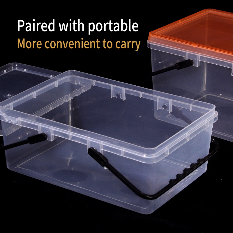 Jelly Box Food Box Biscuit Boxes Preservation Box PP Plastic Food Plastic Containers