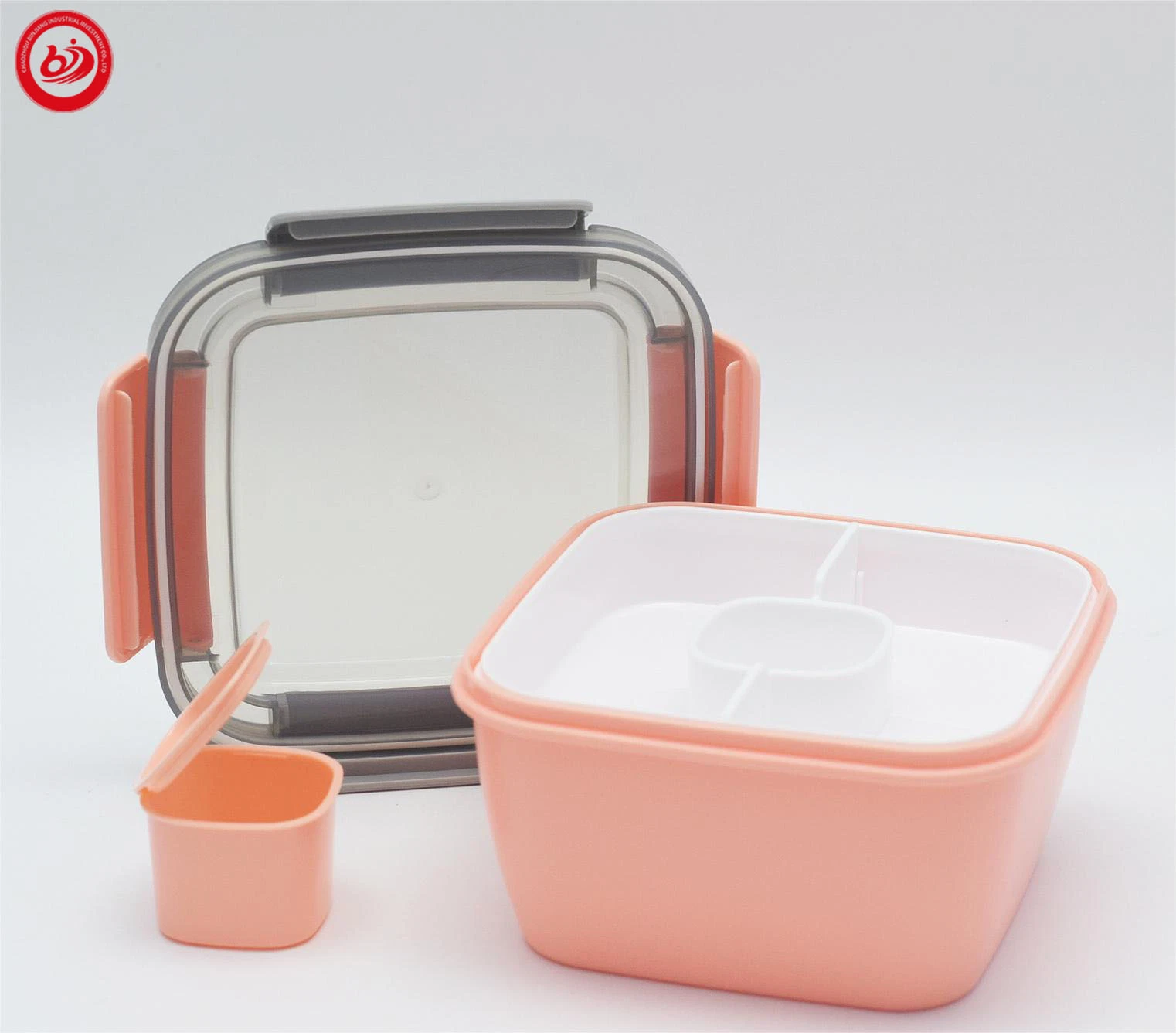 Hot Sale Amazon Picnic Fun Salad Grid Plastic Lunch Box with Buckles