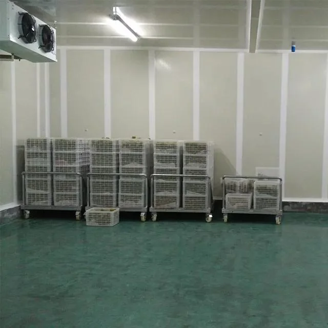 Fábrica de Venta de la fábrica de almacenamiento con carne ligera de pescado vegetal Congelador de fruta congelación Sala de frío usada