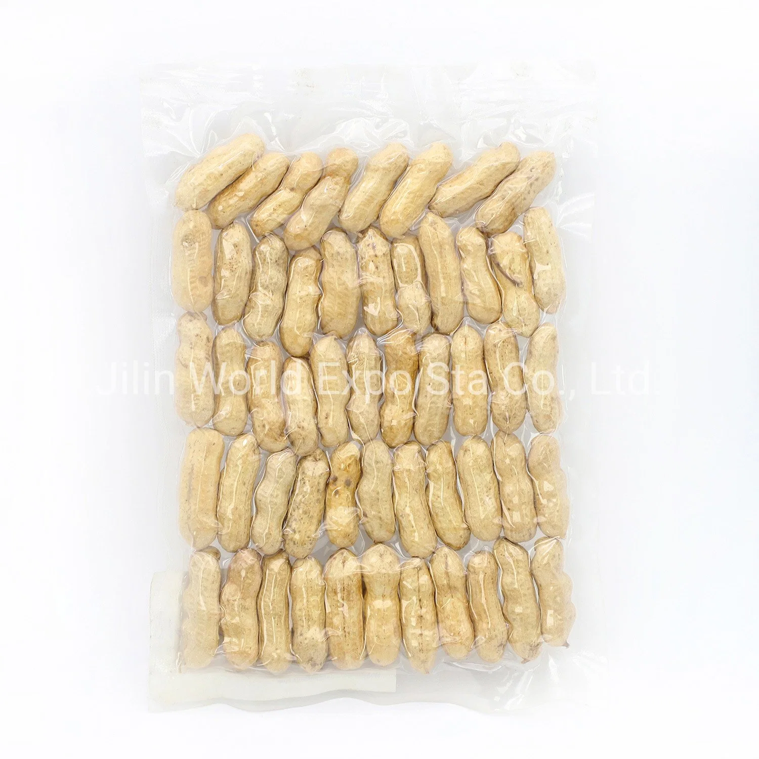 Red Skin Peanut in Shell From Professional Factory to Export