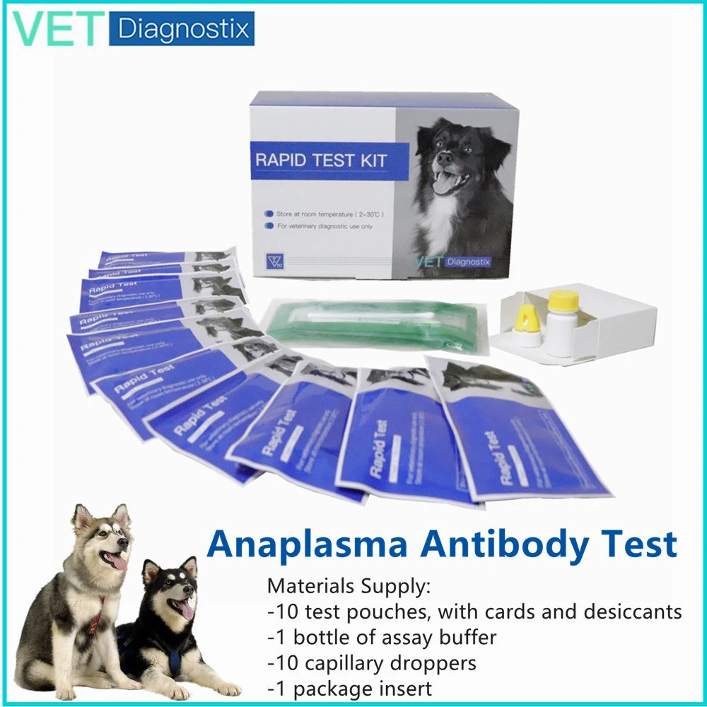 Ana Prueba rápida de anticuerpos Anaplasma Antibady Diagnosic canina Test Kit