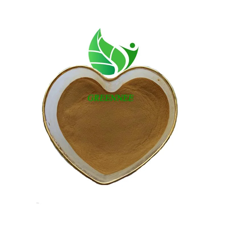 Hot Selling Noni Fruit Extract Powder Noni Juice Extract Noni Fruit Powder