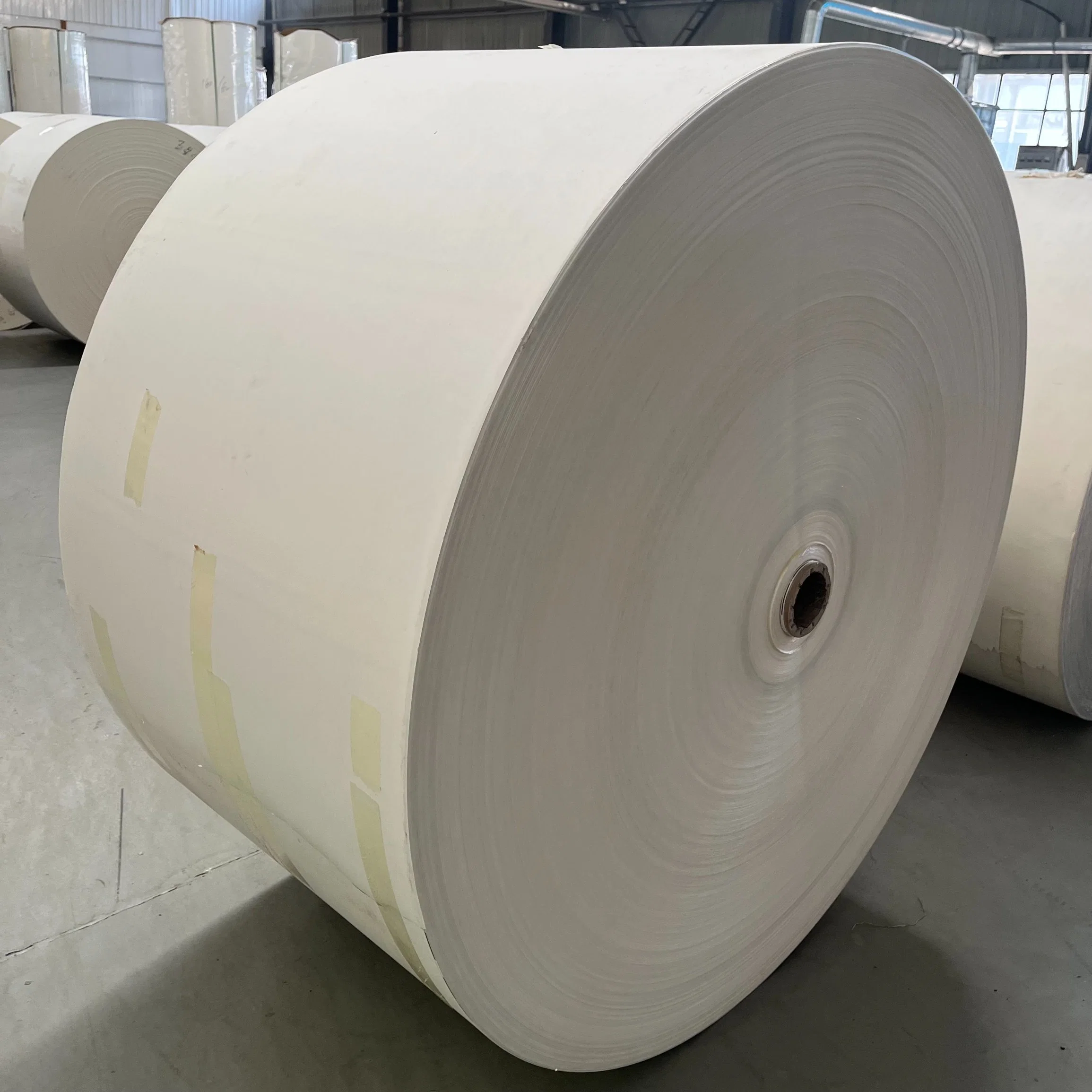 Food Grade PE Coated Paper for Make Paper Cup and Bowl