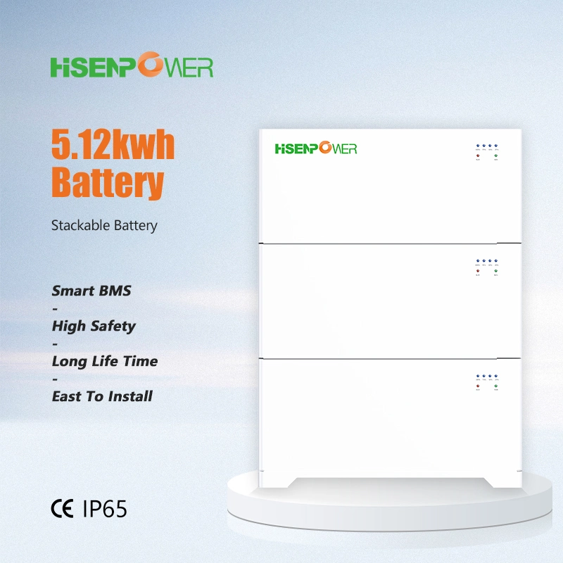 Société de batteries solaires Batterie au phosphate de fer et de lithium LiFePO4 Stockage d'énergie domestique