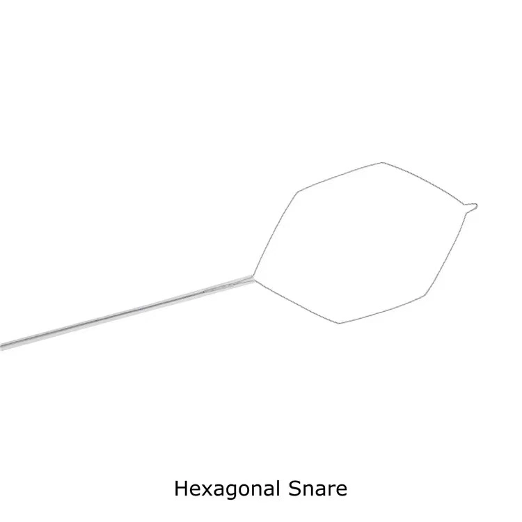 Diagnostic Surgical 2.4mm 2.3cm Hexagonal Endoscopic Polypectomy Cold Snare Loop