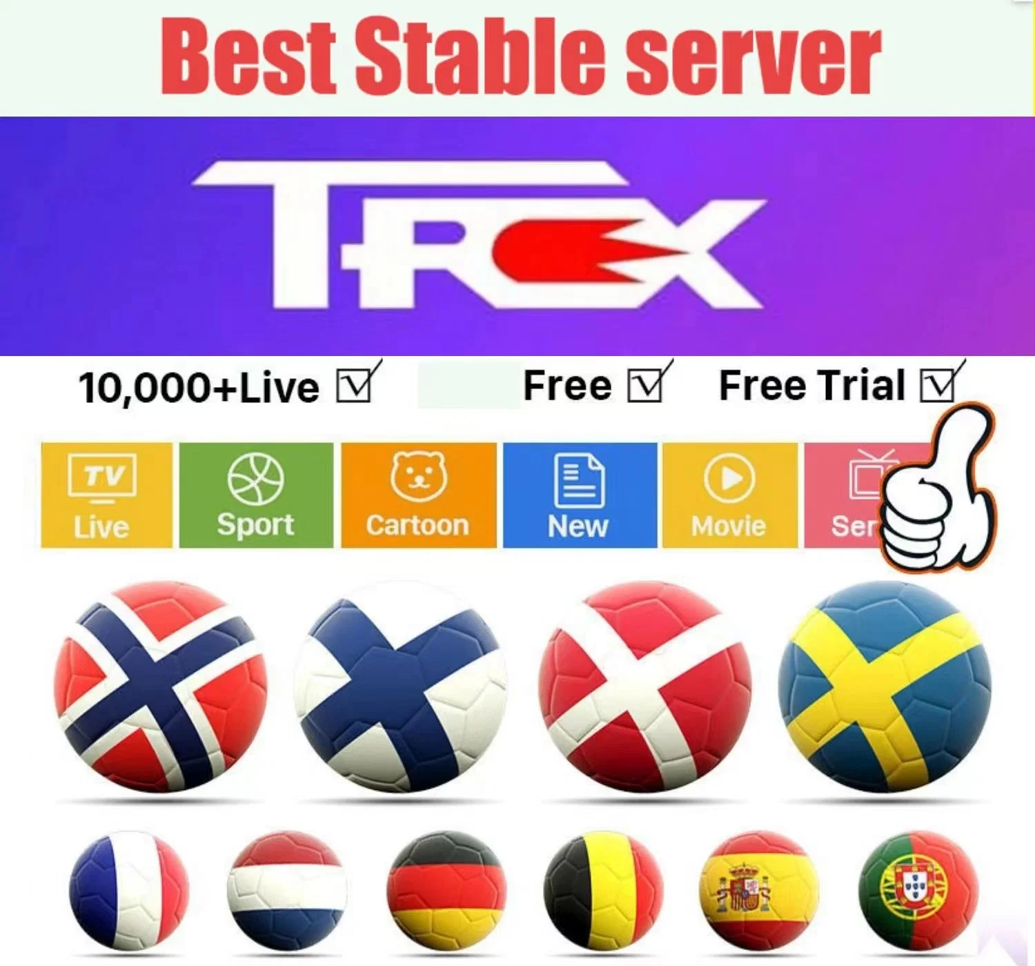 اشترك في قناة TREX IPTV1/3/6/12 Month All-Europe Dutch Belgium German Channel قائمة تشغيل M3U