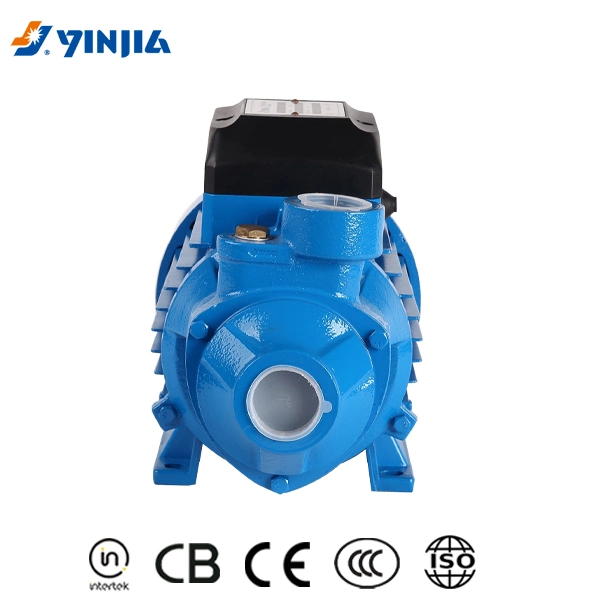 Professional Pump Manufacturer 0.5HP Qb60 High Pressure Pump Peripheral Pump for Family Use