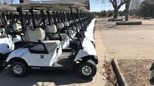 Las 4 ruedas Electric Car Club/48V el asiento del coche/Club de Golf eléctrico de 2 plazas