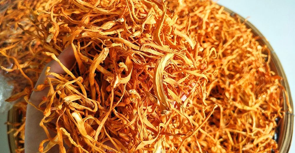 Chinese Wholesale/Supplier Dried Gift-Wrap Cordyceps Mushroom for Soup