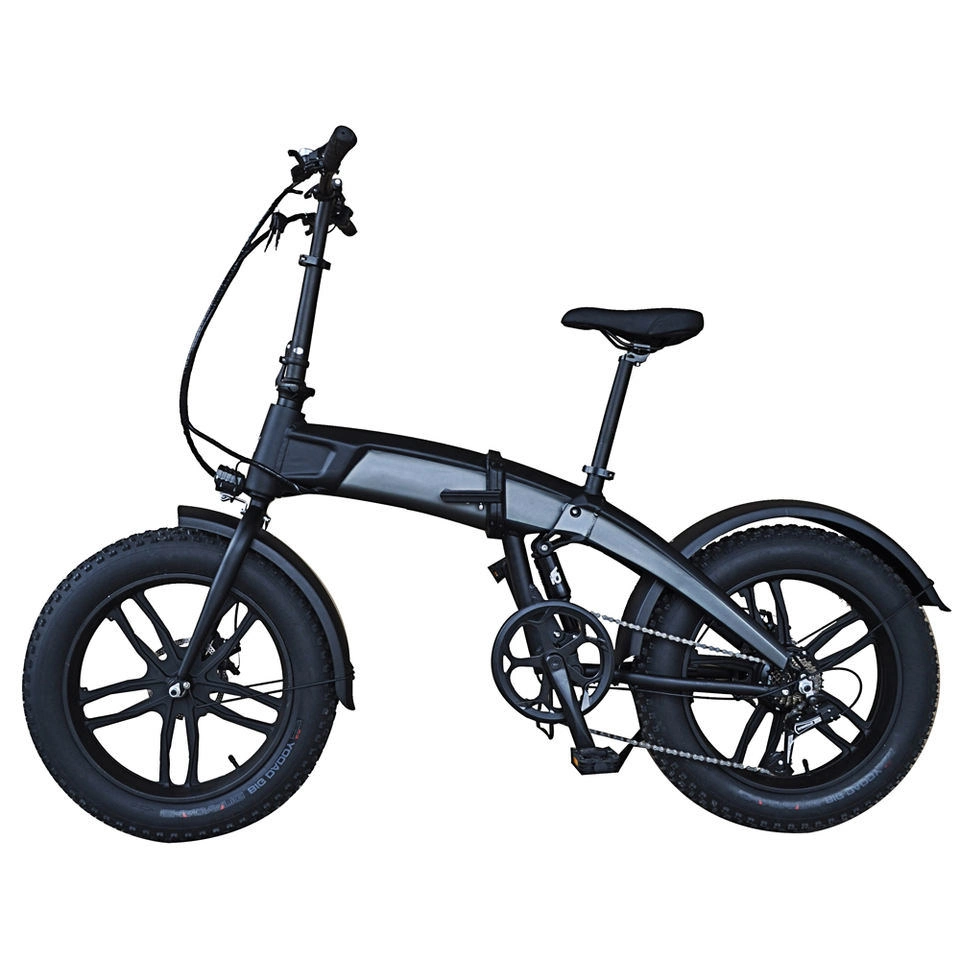 Polónia Armazém 750W 1000W 20" Fat pneu eBike dobrável Electric Bicicleta