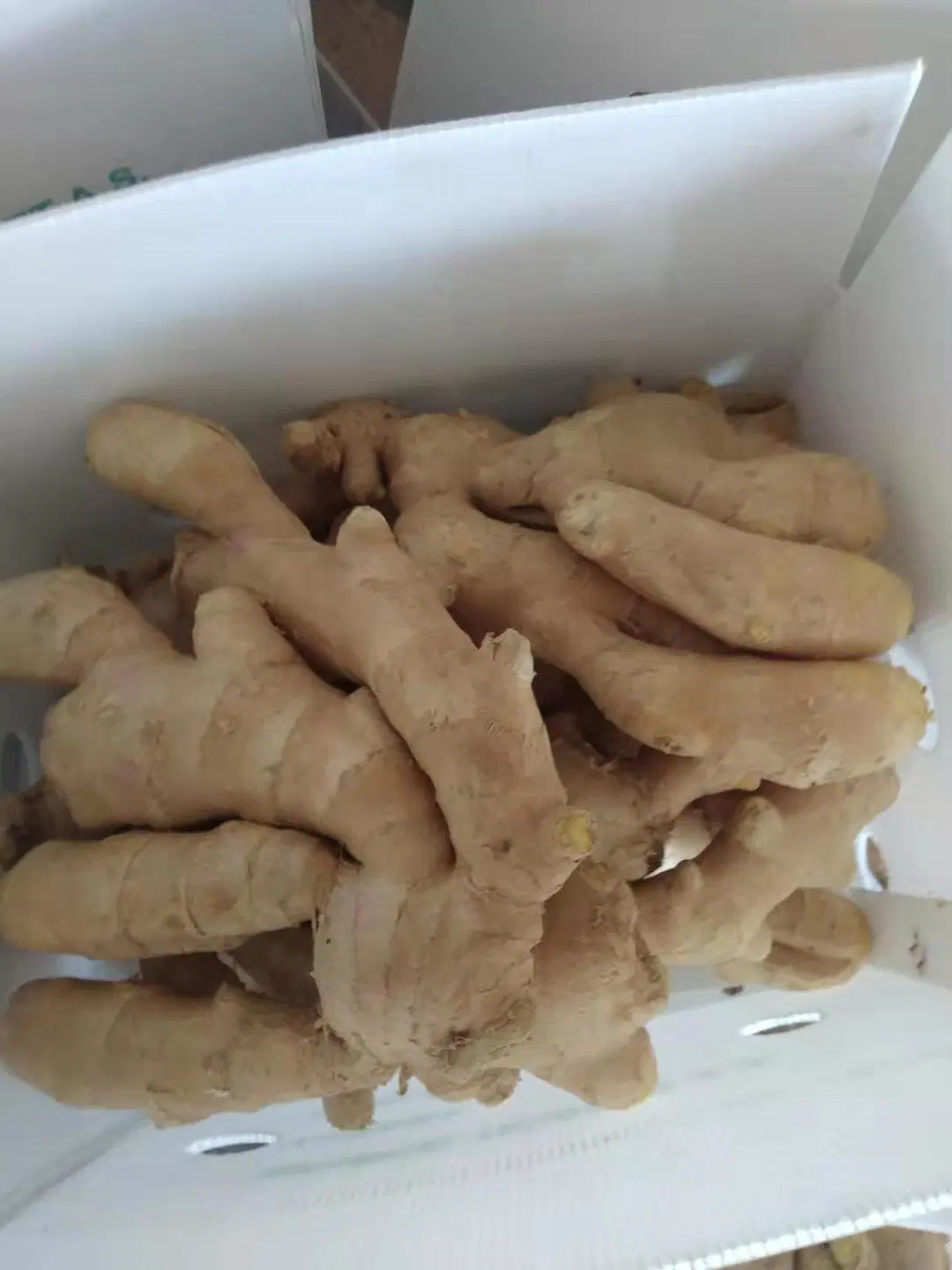 Chinese Ginger Sold Directly From The Factory