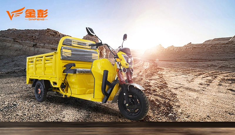 Electric Trike Overseas Market Electric Tricycle with 1000W Motor