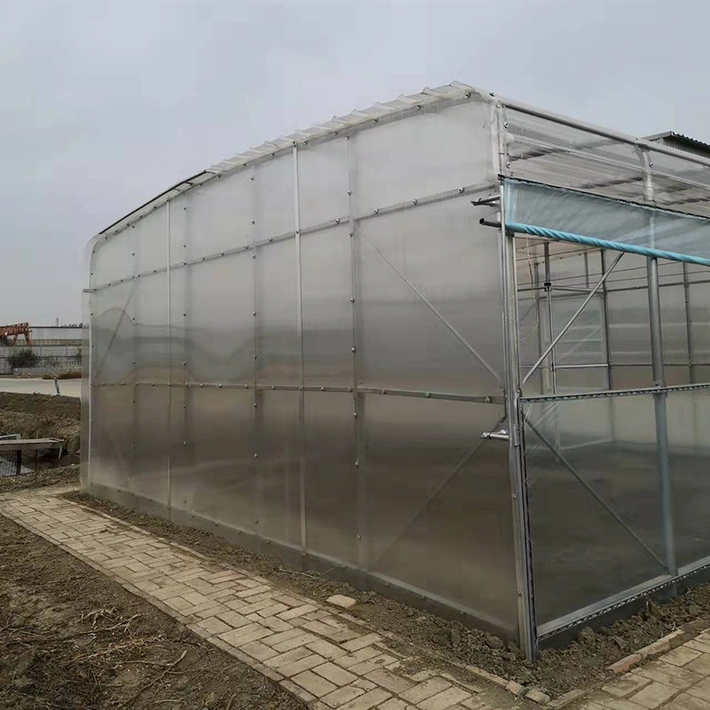 WMGH024 сельского хозяйства Multi-span стекла парниковых гидропонное огородничество зеленый дом цветочный дом