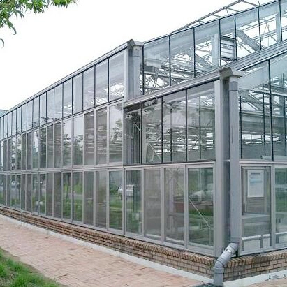 Verre de grande portée serre agricole Multi-span Maison verte pour les légumes