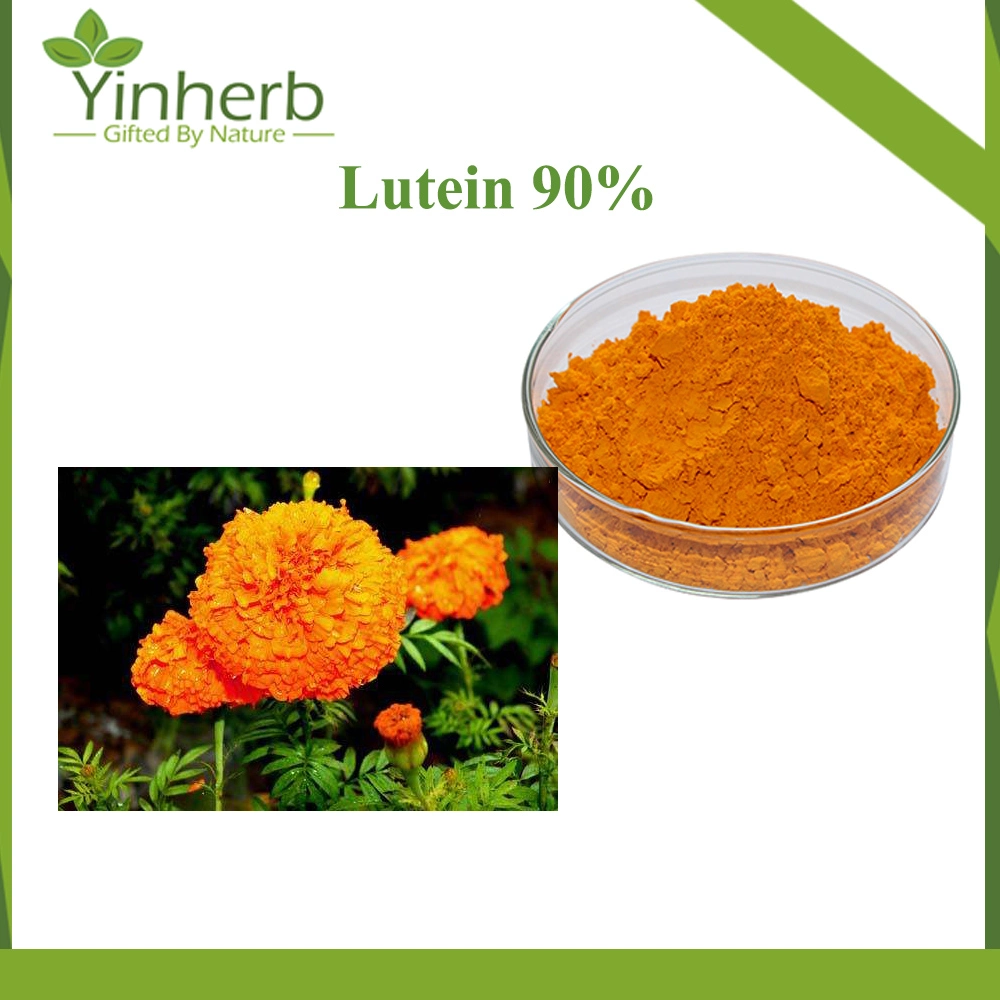 Yinherb Supply Food Grade Marigold Flower Extract Powder 90% Lutein Raw Powder