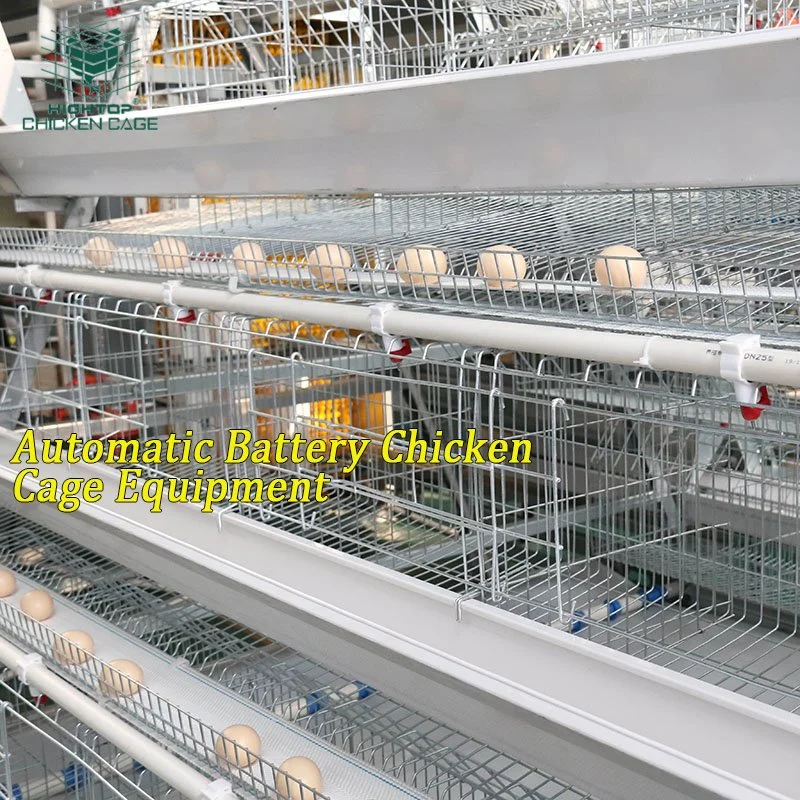 Automatisierte Geflügelfarm Ausrüstung A Typ Layer Hühnerkäfig mit Automatisches Zuführsystem