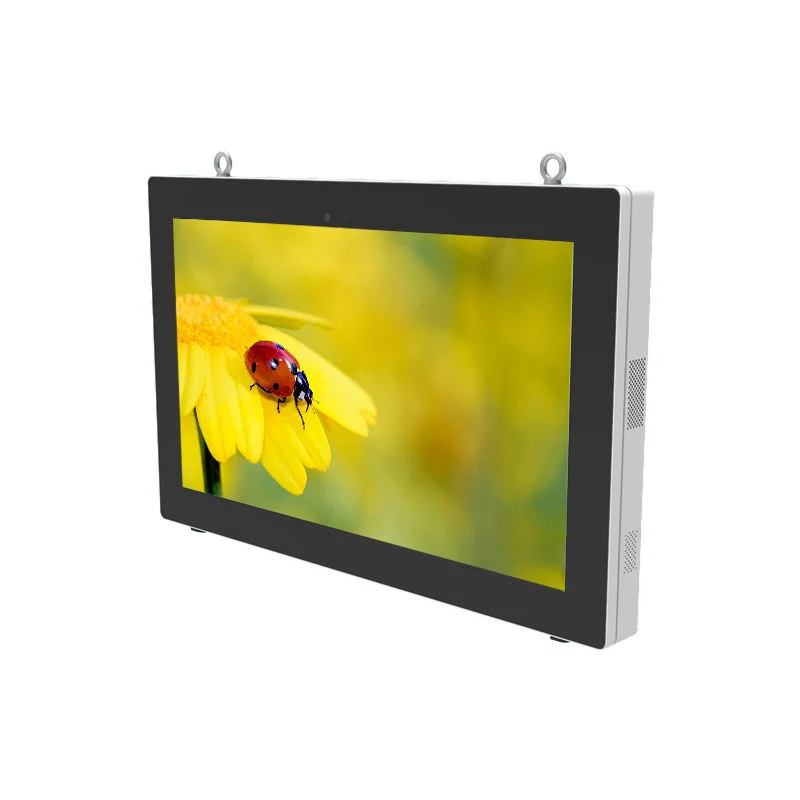 55 Inch Transparent LCD Display Wall Mount Large Media Menu Advertising Player