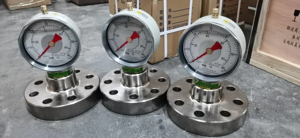 مقياس ضغط D من النوع D من معهد البترول الأمريكي (API) 0~6000psi لمضخة الطين