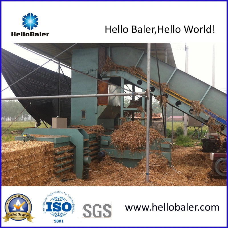 Removable Semi-Auto Hydraulic Horizontal Straw Baler (HMST3-3)