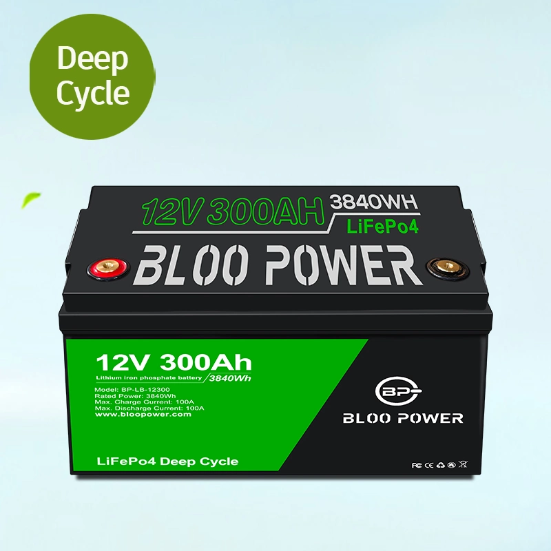 Bloo Power 12 24 Volt Li-Ion Li-Ion-Zellen-Akkus Pack für Elektro-Stapler Gabelstapler Material Handling Fahrzeug Reinigung Fahrzeug Lagerung