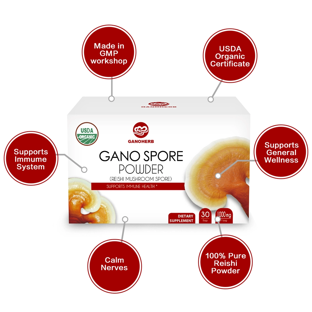 Ganoderma orgánico 100% de polvo de esporas de esporas de hongos Reishi