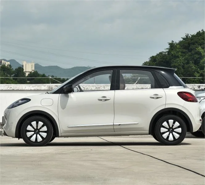 2023 Nuevo Auto Wuling Bingo 333km disfrutando Plus