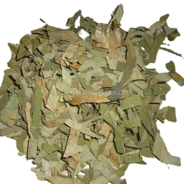 Factory Supply Chinese Herb Medicine OEM Cut Lotus Leaf Dried Lotus Leaves