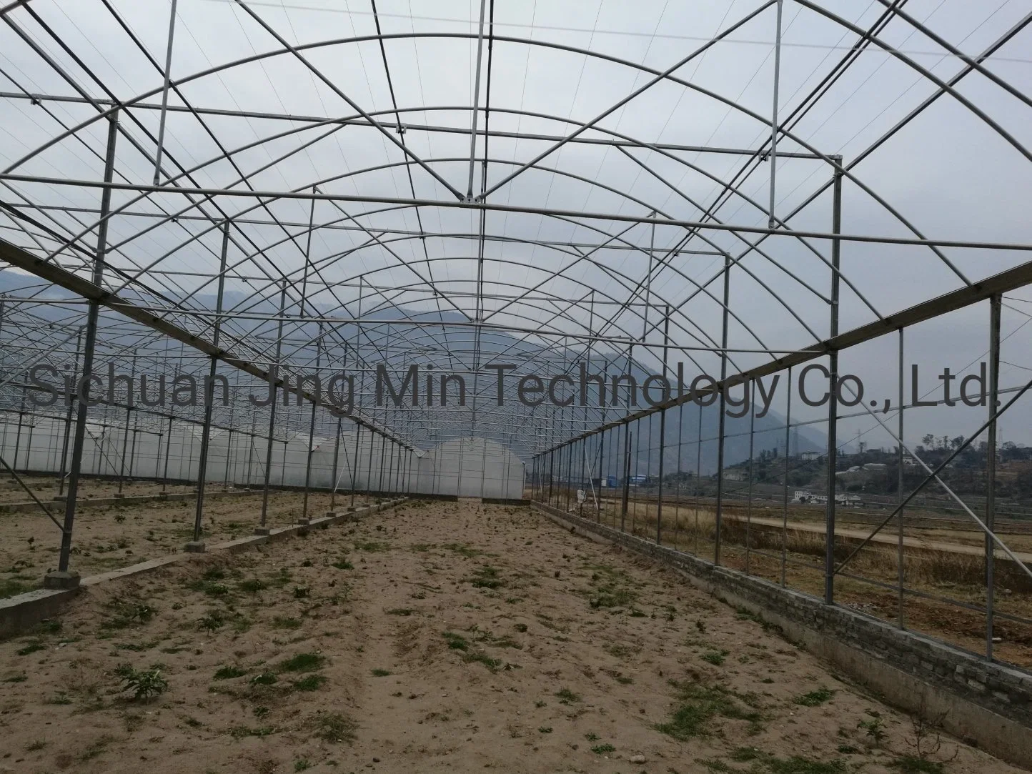 Galvanized Steel Frame Greenhouse Single Span PE Film Greenhouse for Agriculture Low Cost Tunnel Greenhouse